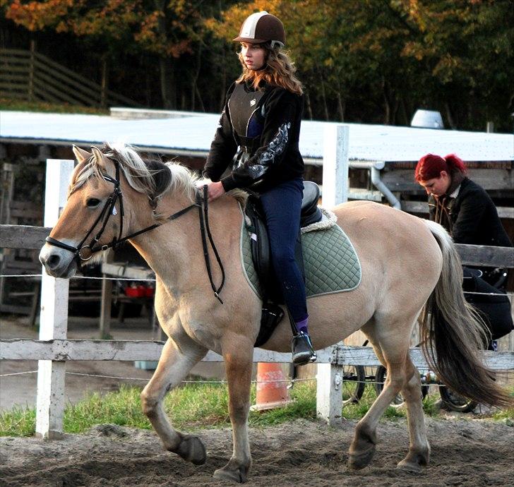 Fjordhest Nanok Romeo - Mig og Nokke :D - Fotograf: Simone billede 13