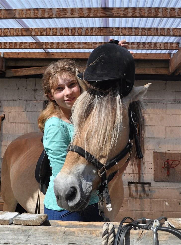 Fjordhest Nanok Romeo - Velkommen til Nokkes profil :P Total hygge :D <333 - Fotograf: Louise billede 1