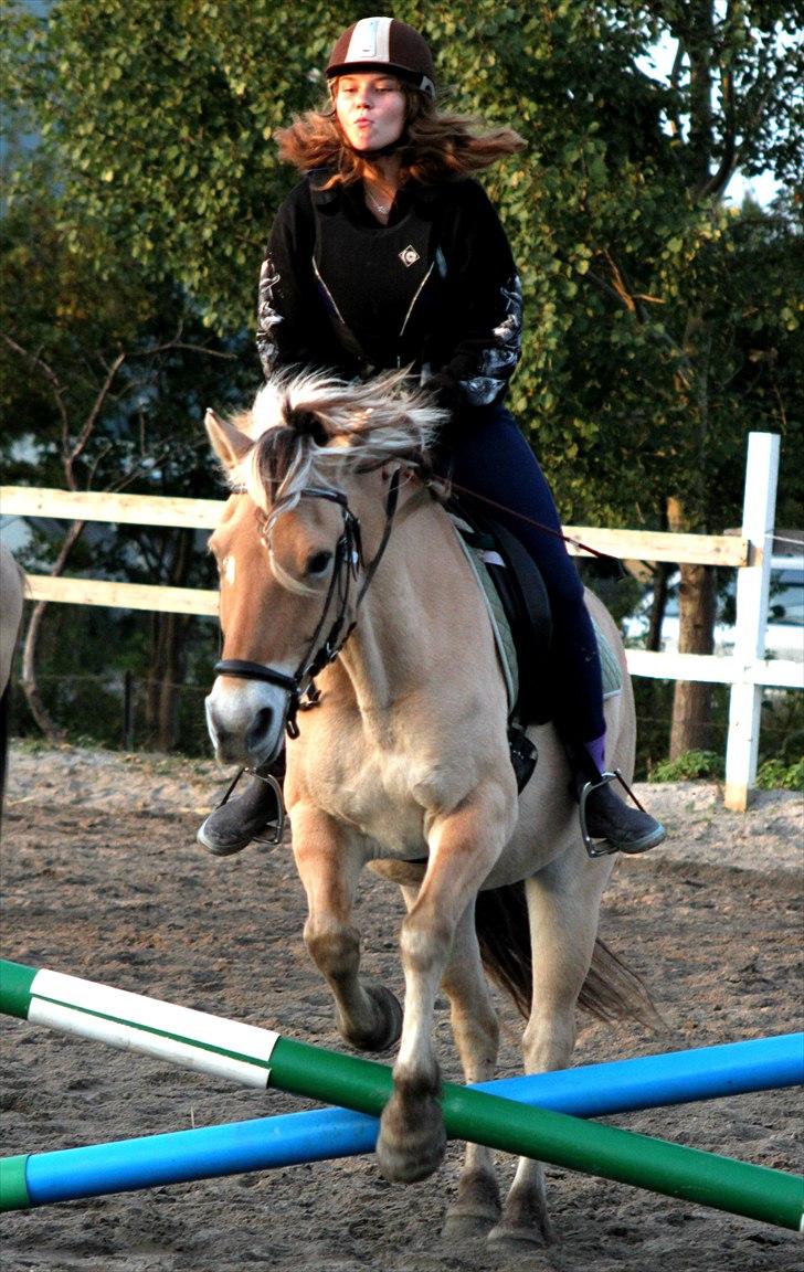 Fjordhest Nanok Romeo - Sprintrænning :D <33 elsker dig Nokke - Fotograf: Simone billede 15