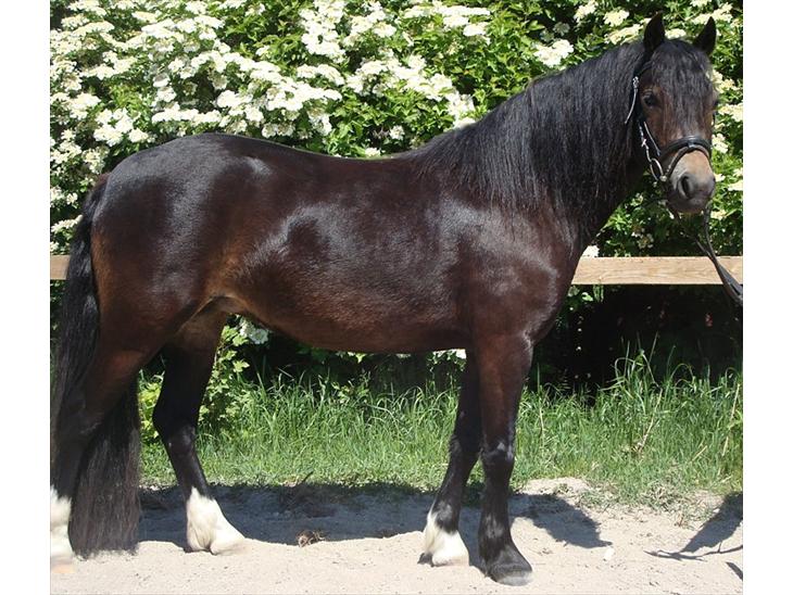 {{currentPhoto.altText}} billede {{currentPhoto.number}}