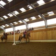 Anden særlig race Chess