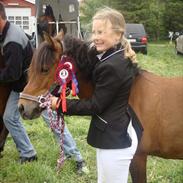 Anden særlig race Stella