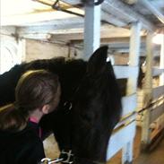 Anden særlig race Chago junior