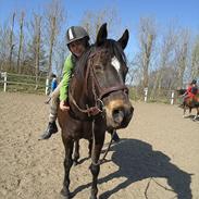 Connemara Dun (tidl. part)