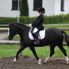 Anden særlig race Blacky *SOLGT*