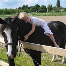 Anden særlig race Blacky *SOLGT*