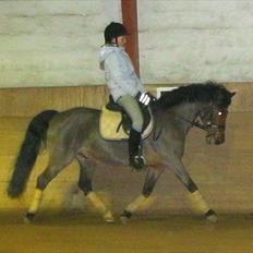 DSP Kjærholms Bounty