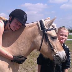 Fjordhest Romeo's Fakir  R.I.P :'(