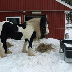 Tinker  Mama Danger.