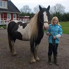 Tinker  Mama Danger.