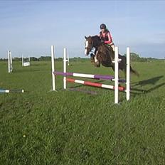 DSP Sejerøs Jackie (udlånt)