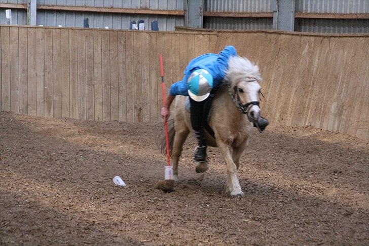 Anden særlig race Trold  (Hjelper) - jens og trold mounted games litters :b billede 3