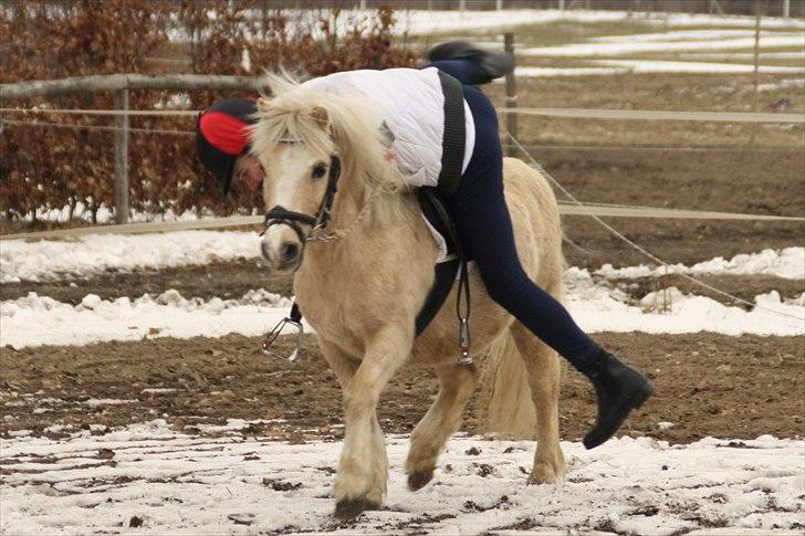 Anden særlig race Trold  (Hjelper) - mounted games jens i fuld gang med at hoppe op på trold<3  billede 6