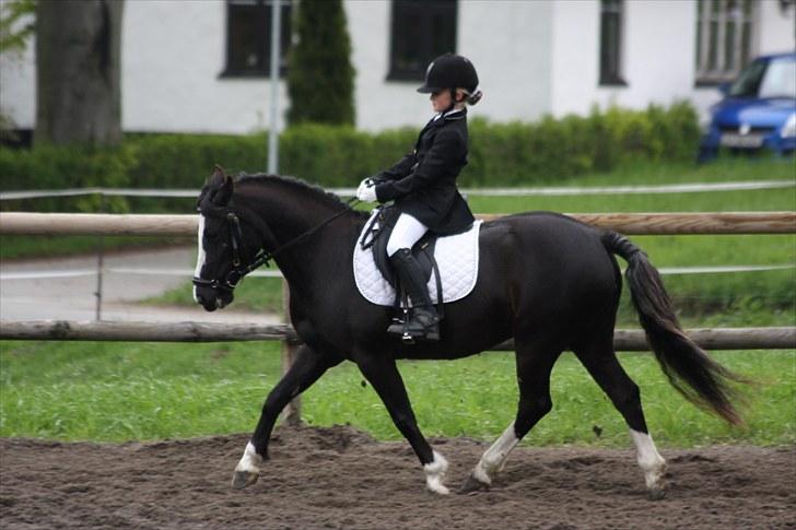 Anden særlig race Blacky *SOLGT* - Blacky og Sara til Stævne billede 1