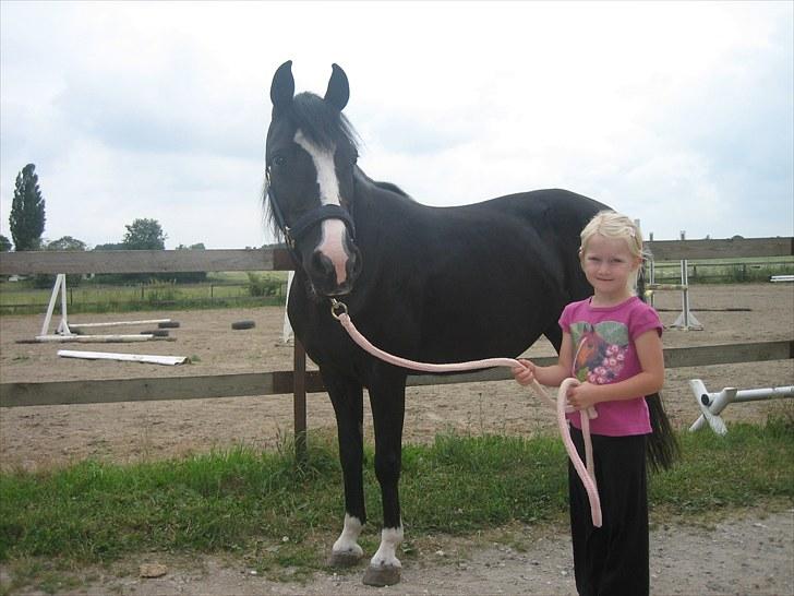 Anden særlig race Blacky *SOLGT* - 2006 haft Blacky 1 dag billede 5