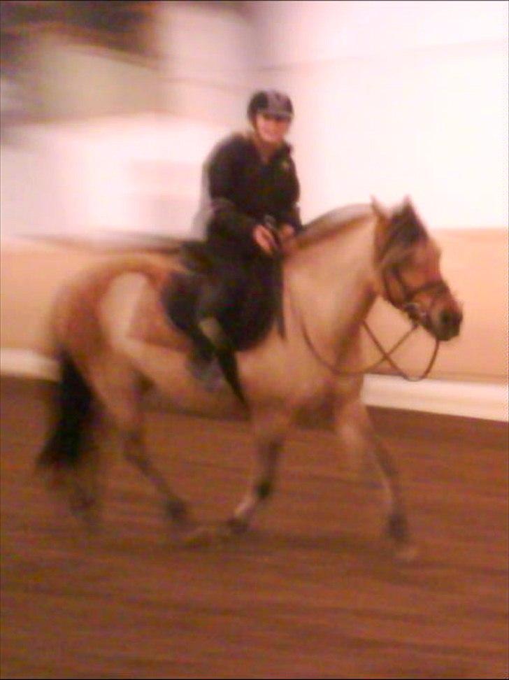 Anden særlig race Chess - Dejligt at slappe af ;*<3 billede 7