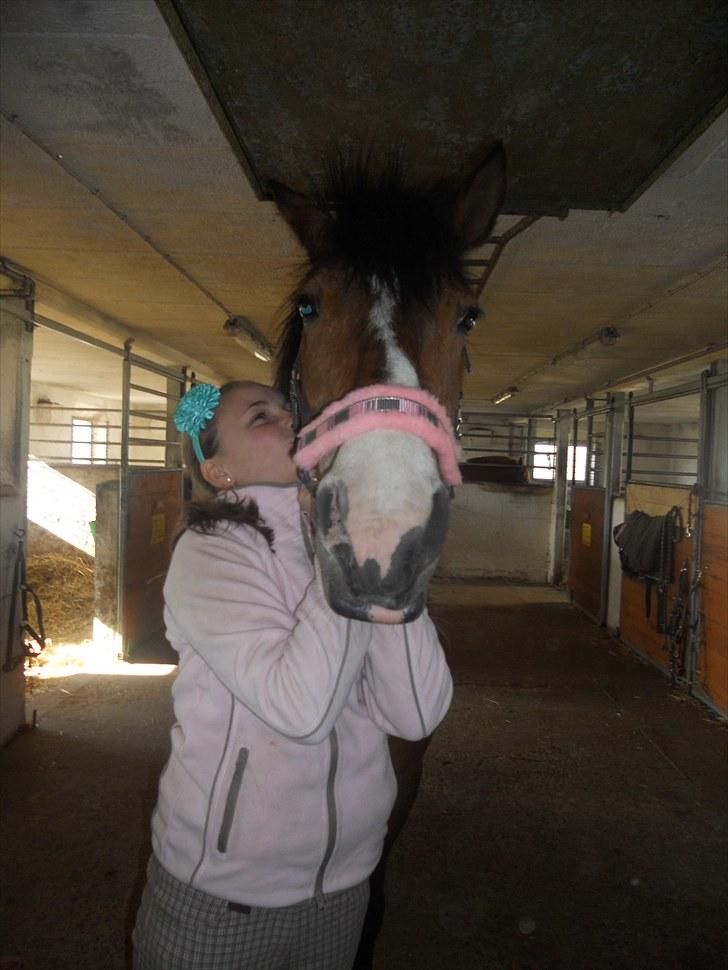 Anden særlig race Moonlight ( SOLGT) <3 - du verdens aller bedste pony (LL)! billede 15