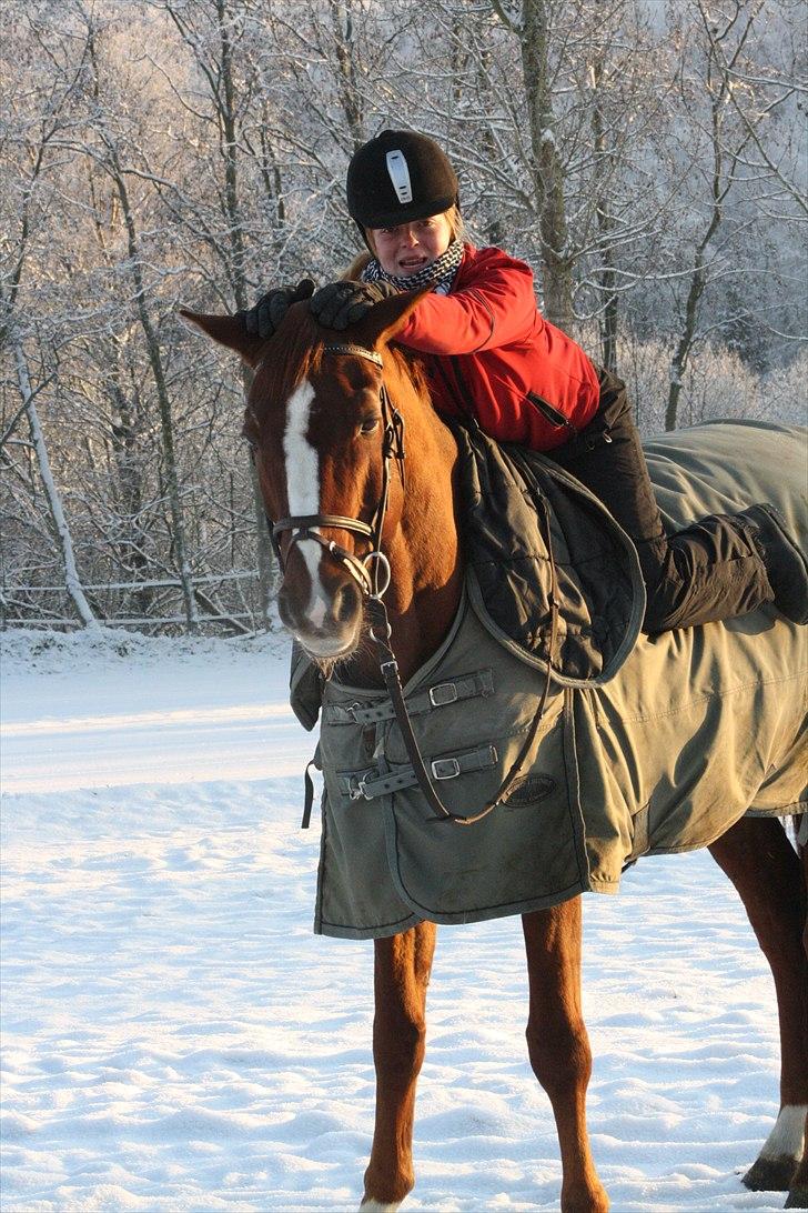 Dansk Varmblod Emos <3 <3 <3 <3 <3 - 19# Fordi du betød ALT <3  billede 20