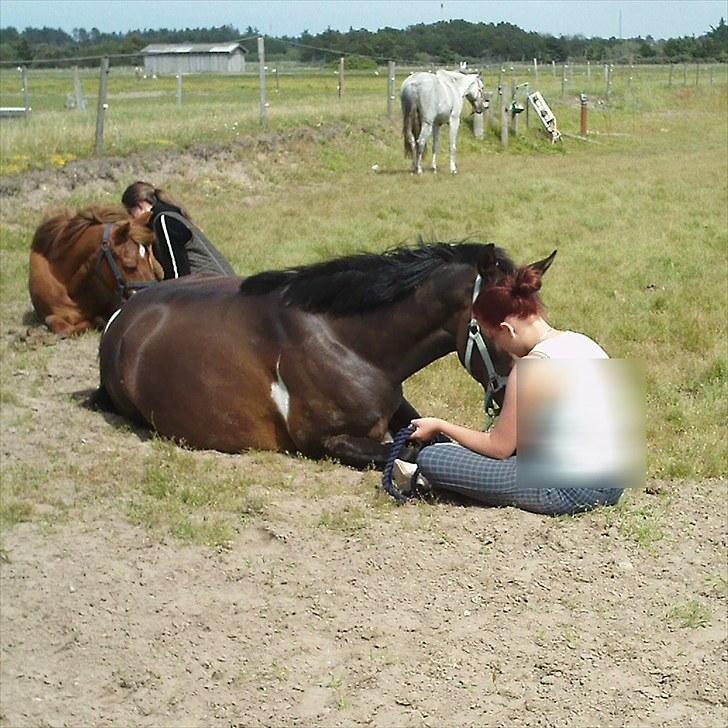 Anden særlig race Latisha - jeg elsker dig smukke;-* billede 13