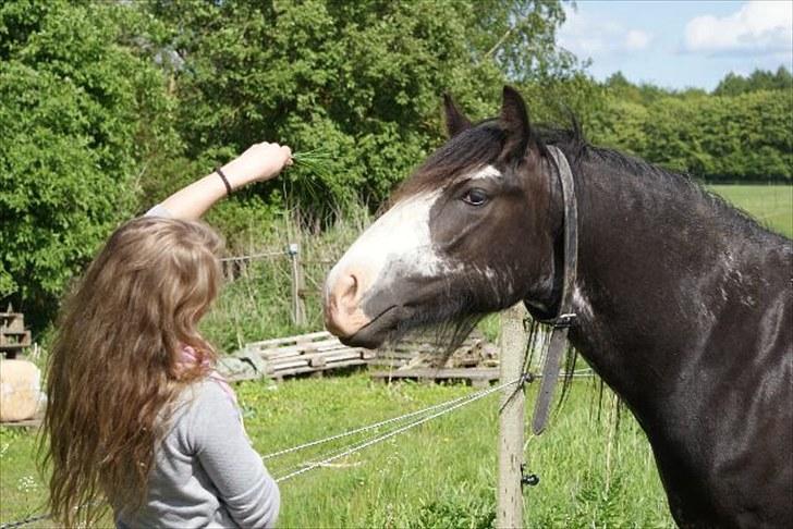 Tinker Lehmanns Ozzie <3  billede 5