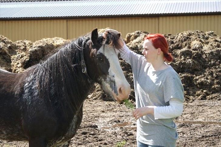 Tinker Lehmanns Ozzie <3  billede 6