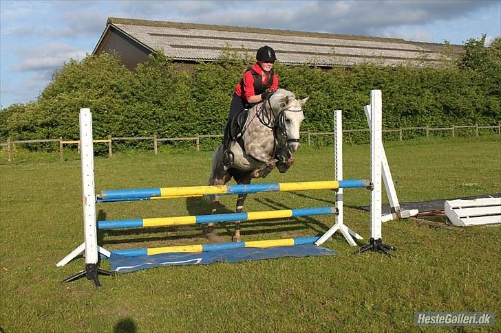 Anden særlig race Cédric Vasseur *SOLGT* -  Springer plastik. Fotograf: Christina billede 7