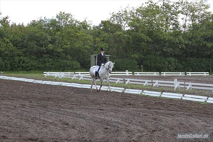 Anden særlig race Cédric Vasseur *SOLGT* - Stævne i Kragelund. Fotograf: Christina billede 9