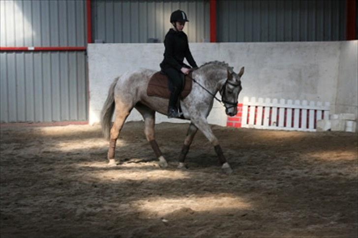 Appaloosa Challenge*Byttet* billede 7