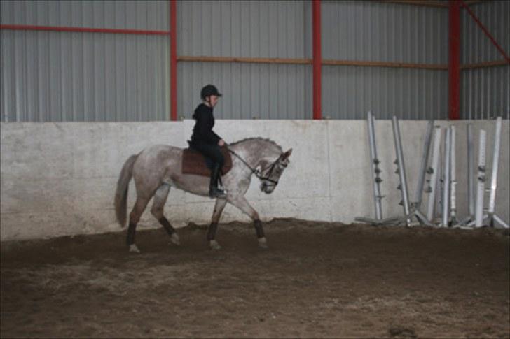 Appaloosa Challenge*Byttet* billede 8