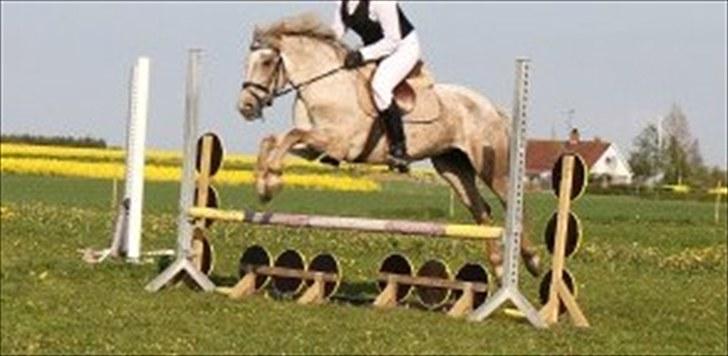 Appaloosa Challenge*Byttet* billede 9