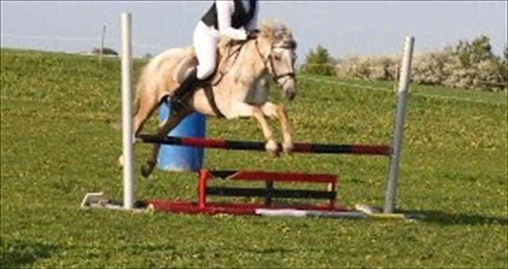 Appaloosa Challenge*Byttet* billede 10