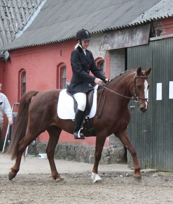 Anden særlig race Miranda - Nina og Miranda til deres første stævne den 29/5-10 .. de hev lige en 1. og en 2. plads med hjem! billede 20