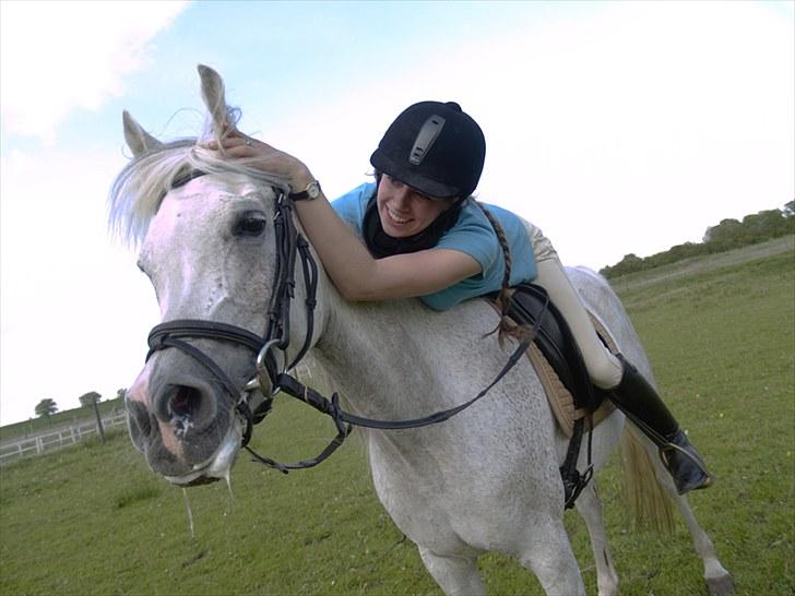 Arabisk fuldblod (OX) Warina - billedet er taget af Laust strange 29/05 2010, Hygge hygge:-) billede 7