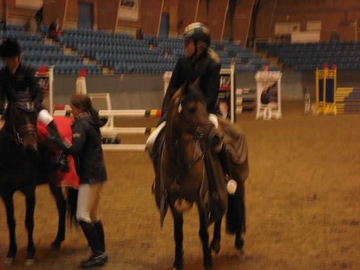 Hollandsk Sportspony Suze - solgt - 2 plads til Århusmesterskaberne 2009 MB billede 12