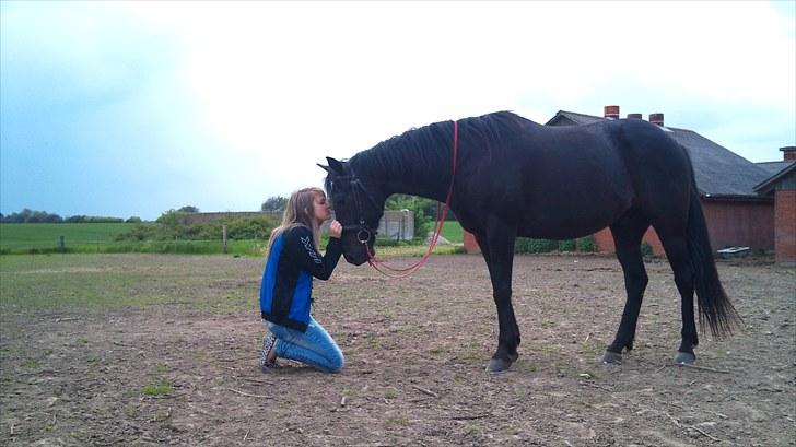 Traver zeb, R.I.P :'( ILY - billede , 20 . julie og zeb (:  billede 20