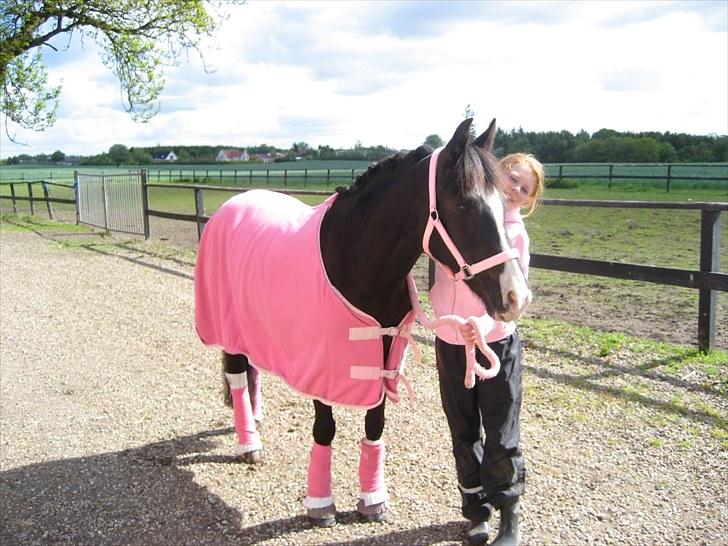Anden særlig race Lady - LYSERØD dag. billede 10