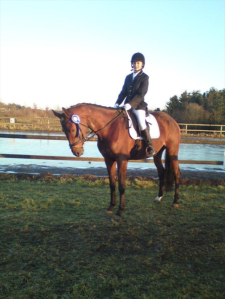 Dansk Varmblod Meldgårds Libell - Stævne på Ane januar 2011 :) LC1 - 2. plads. billede 2