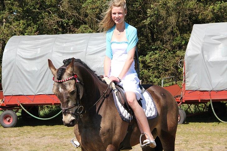 Connemara Enghøjs Rebel Joy B-pony - [Tidl. hest] - Elsker dig skat.<3 billede 3