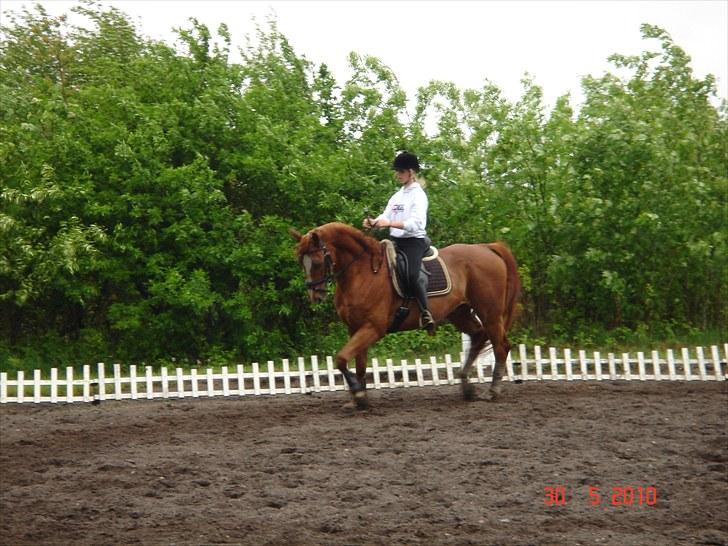 Oldenborg Pandoer - SOLGT :'( billede 18