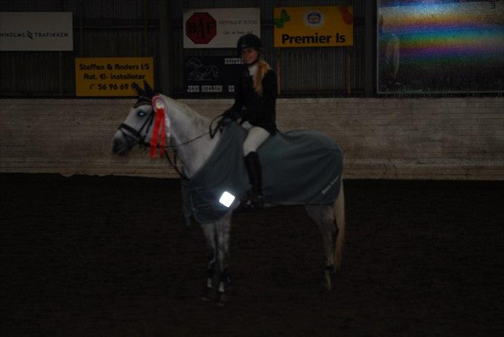 Shagya Araber (SH) Silke Mellemgård  B-Pony - 11* Klubmester 2010 Højdespring pony <33 du den bedste Silke <3 Undskyld kvali. billede 10