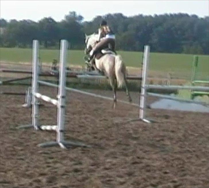 Shagya Araber (SH) Silke Mellemgård  B-Pony - 13* Nyt: Træning sommer 2010<3 , var en fantastisk sommer <3  billede 12