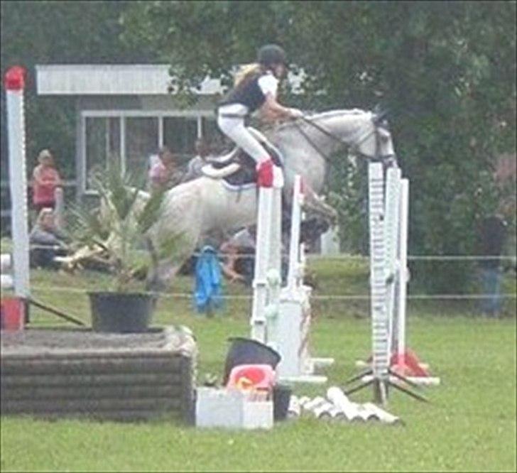 Shagya Araber (SH) Silke Mellemgård  B-Pony - 16* første 100cm BM-stævne 2010: Du var en stjerne <33 Foto: Emilie W (tak) billede 16