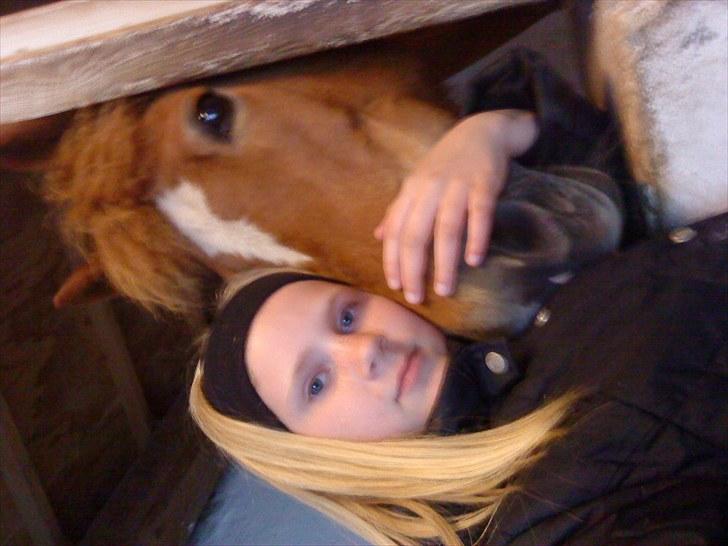 New Forest Lillehøjs Meranti - jeg elsker kram og kys <3 billede 10