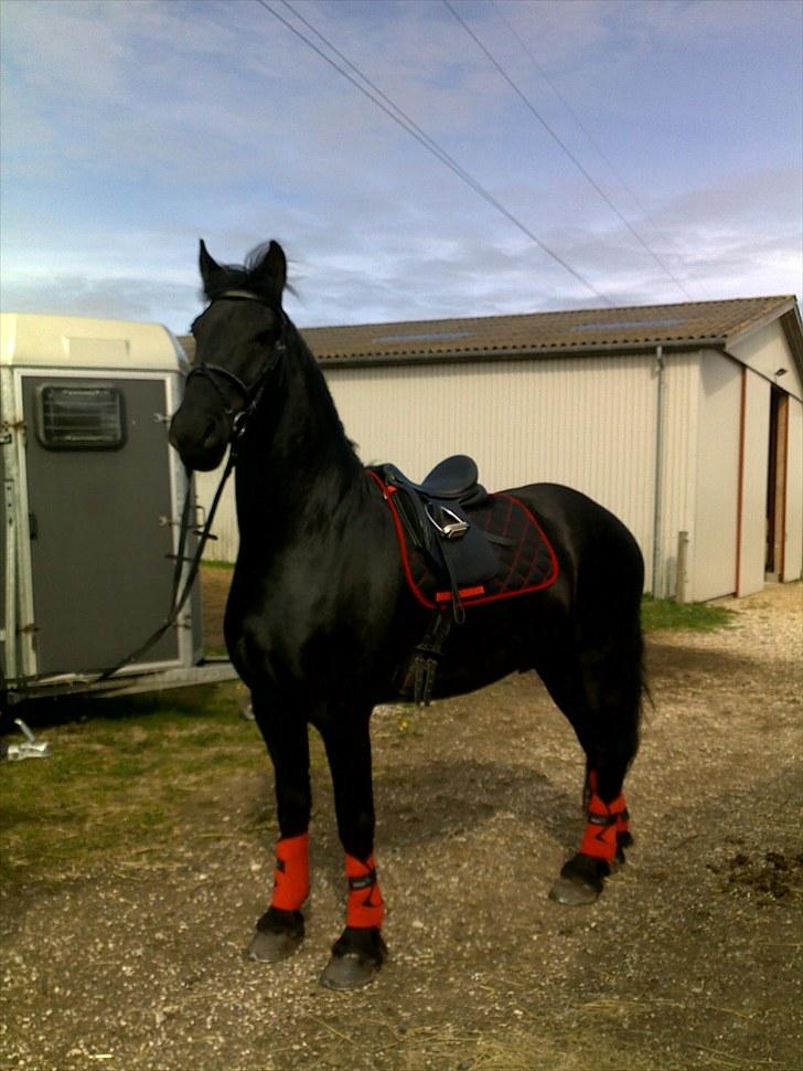 Frieser Quinzi - Quinzi i nyt rødt "outfit" :o) billede 1