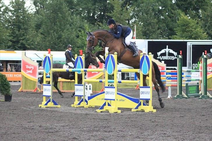 Belgisk varmblod Dalida de reve - Vilhelmsborg lansstævne med indv dm 2010 MB** <33 billede 9