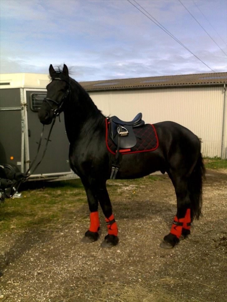 Frieser Quinzi - Igen Quinzi i rødt - man ser vel lidt godt ud :o) billede 7