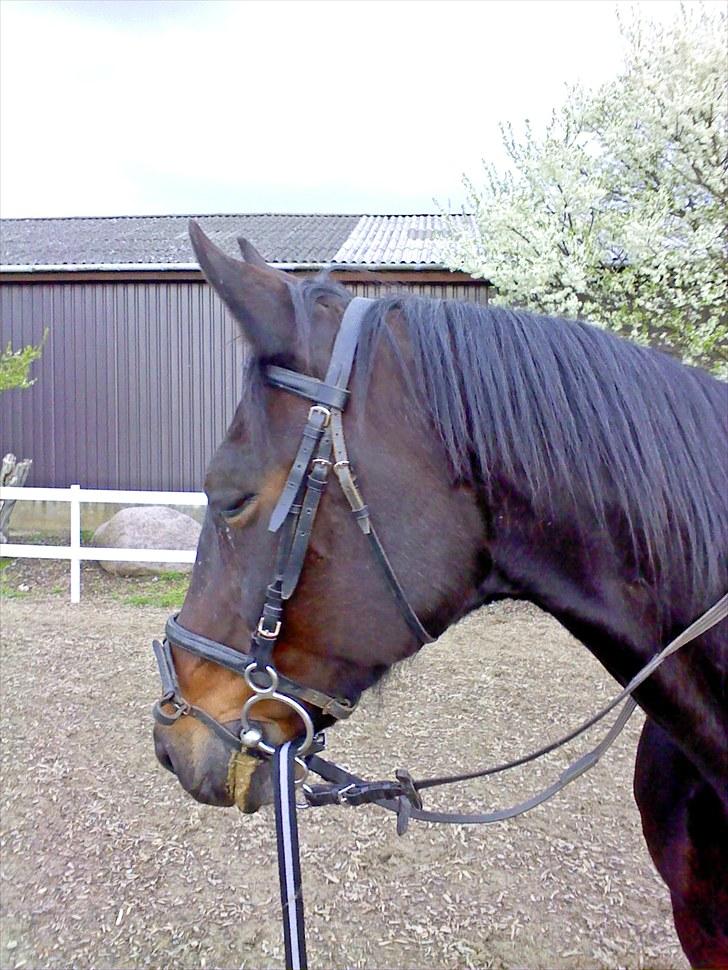 Traver bil(slut med at passe ham - Velkommen til bils profil<3 billede 1