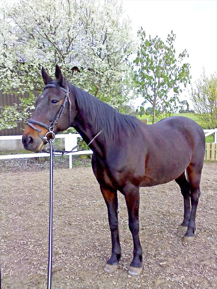 Traver bil(slut med at passe ham billede 3