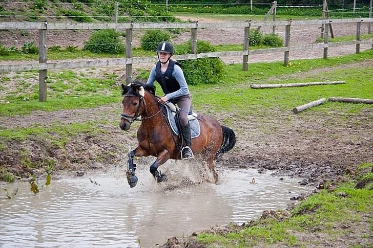 Anden særlig race Trunte † - Fotograf: Maria Rasch - Fordi folk siger du ikke vil bade ? /:  (De tager fejl) :D billede 17