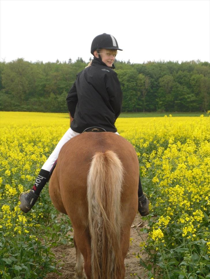 Islænder Sóley fra Lille Nørregård billede 12